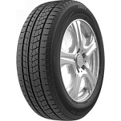 Icepioneer 868